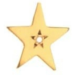 Amulette Gold Plated and Diamond Star Ring Charm CH-002/YGP