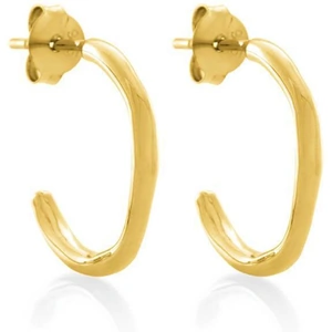 Buff Yellow Gold Plated Circle Of Life Hoop Earrings