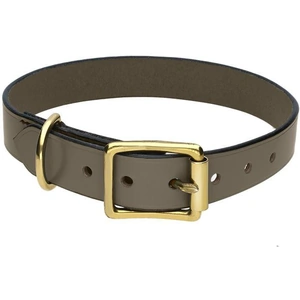 C W Sellors Chatsworth The Dog Brown English Leather Brass Buckle 2.5cm Collar - Large 40-50cm