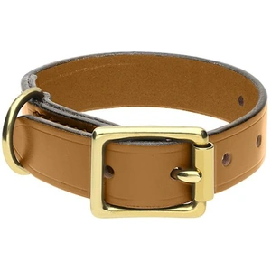 C W Sellors Chatsworth The Dog Gold English Leather Brass Buckle 2cm Collar - Small 20-30cm