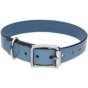 C W Sellors Chatsworth The Dog Blue English Leather Silver Buckle 2.5cm Collar