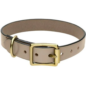 C W Sellors Chatsworth The Dog Grey English Leather Brass Buckle 2.5cm Collar