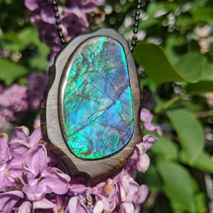 Stone N' Seed Ammolite Set In Calico Wood Necklace
